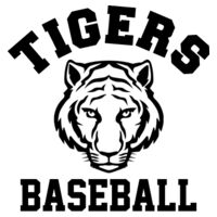 Baseball Layout 4 Design