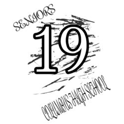 Seniors Design 1  Design