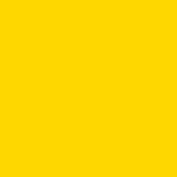 Money Symbol  Design
