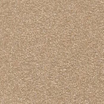 Vegas Gold Thumbnail