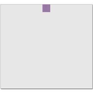 Elite Match 12 x 11 DTF Heat Transfer Thumbnail