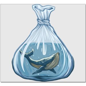 Elite Match 12 x 11 DTF Heat Transfer Thumbnail