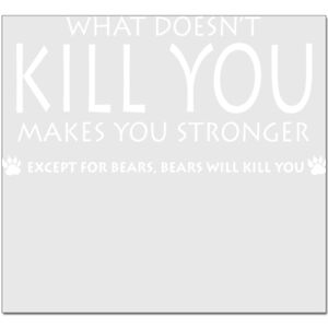 Elite Match 12 x 11 DTF Heat Transfer Thumbnail