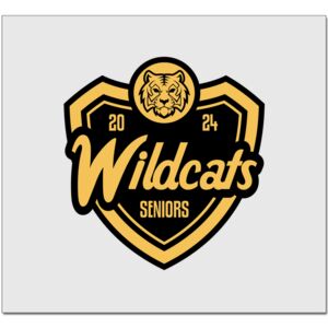 Elite Match 12 x 11 DTF Heat Transfer Thumbnail