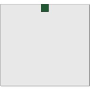 Elite Match 12 x 11 DTF Heat Transfer Thumbnail