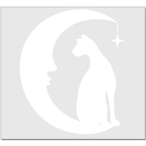 Elite Match 12 x 11 DTF Heat Transfer Thumbnail