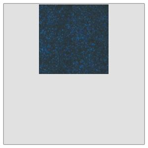 2" x 2" DTF Heat Transfer Thumbnail