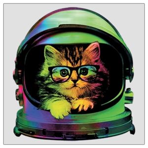 4" x 4" DTF Heat Transfer Thumbnail