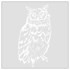 4" x 4" DTF Heat Transfer Thumbnail