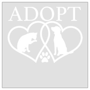 6" x 6" DTF Heat Transfer Thumbnail