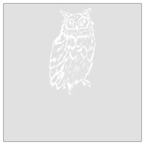 6" x 6" DTF Heat Transfer Thumbnail